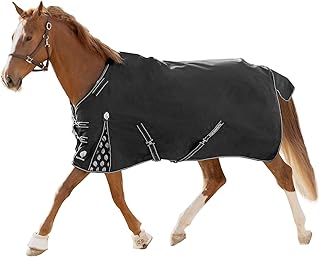 Equinavia Norse Lightweight Horse Turnout Blanket 100g, 600D Ripstop Shell | Horse Rain Sheet, Waterproof Blanket for Horses, 600 Denier, Taffeta Lining, Quick-Release Buckle, Reflective Logo, 100g Fill