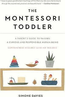 The Montessori Toddler