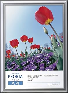 HAKUBA Aluminum Picture Frame Peoria A4 Size Silver Poster Frame Photo Frame Front PET Plate with Hanging String FAPE-SVA4