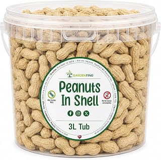 Premium Peanuts In Shell Monkey Nuts 3L Tub