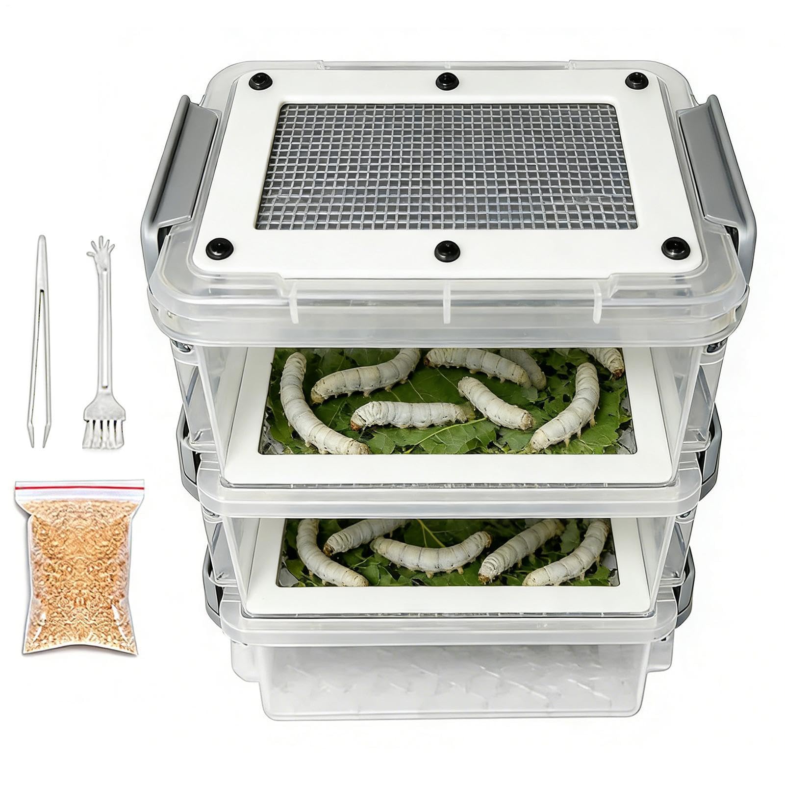 Live Mealworm Farm Breeding Kit, Clear Mealworm Feeding, Silkworm Feeding Contai