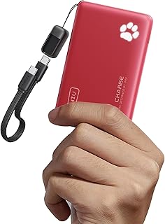 INIU Power Bank, Small 45W Fast Charging 10000mAh USB C External Battery