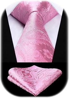 HISDERN Paisley Floral Men's Ties Modern Necktie and Pocket Square Matching Classic for Wedding Party Business