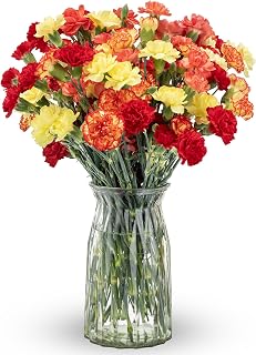 Benchmark Bouquets Mini Carnation Bouquet – Fresh Flowers for Delivery – Fall Flowers – Fresh Floral Arrangement – Gifts for Birthdays, Get Well, Just Because – Glass Vase Included