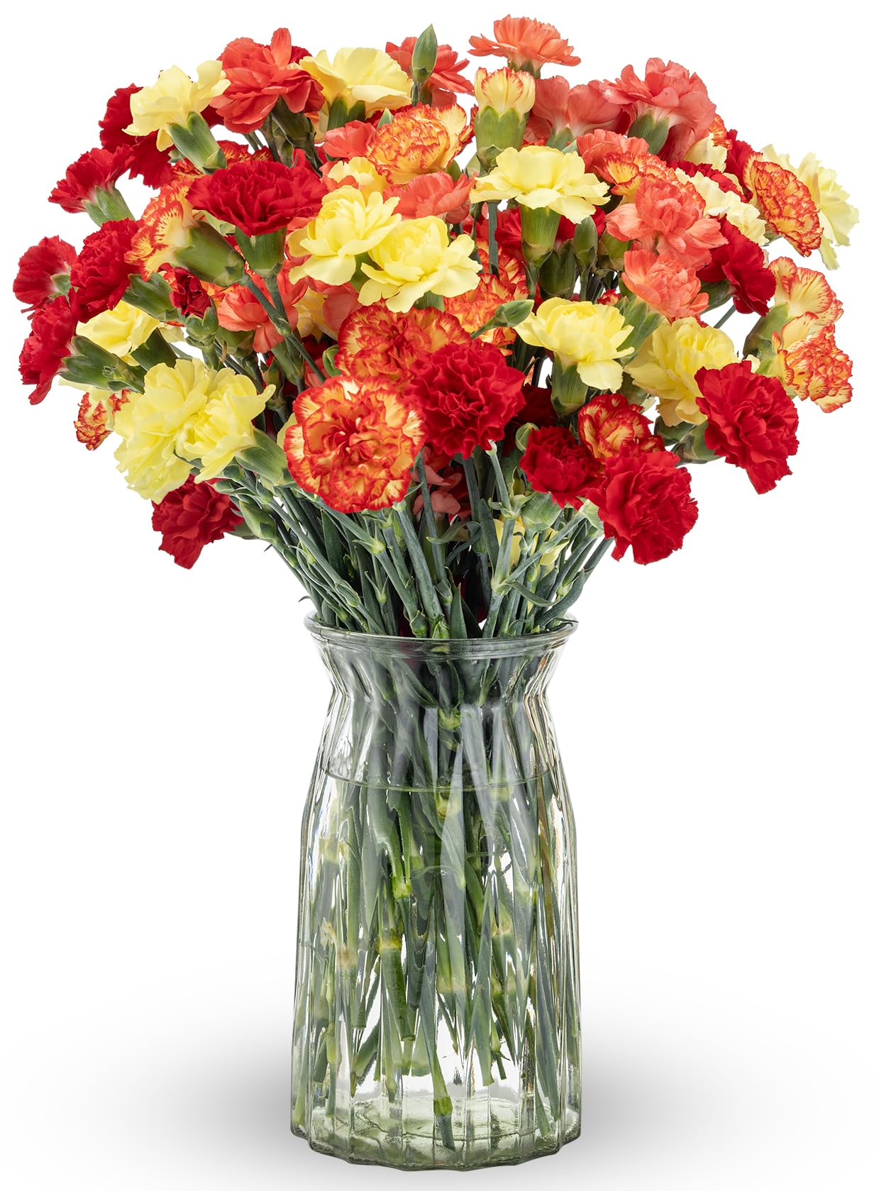 Benchmark Bouquets Mini Carnation Bouquet – Fresh Flowers for Delivery – Fall Fl