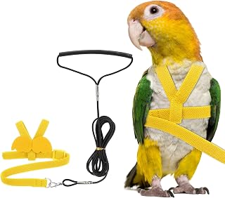 PETAXCELL Adjustable Bird Harness Leash, Anti-Bite, XS, Yellow | Pet Parrot Bird Harness and Leash Lightweight Flight Training Rope with Cute Wing, intendeds for Parrots/Pigeons/Budgies