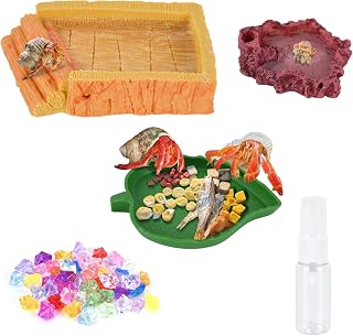 5 Pack Hermit Crab Water Pool Food Bowls Dish Reptile Terrarium Feeding Bowls Reptile Starter Kits Accessories for Hermit Crab Leopard Gecko Frog Spider Lizard Turtle Bearded Dragon etc