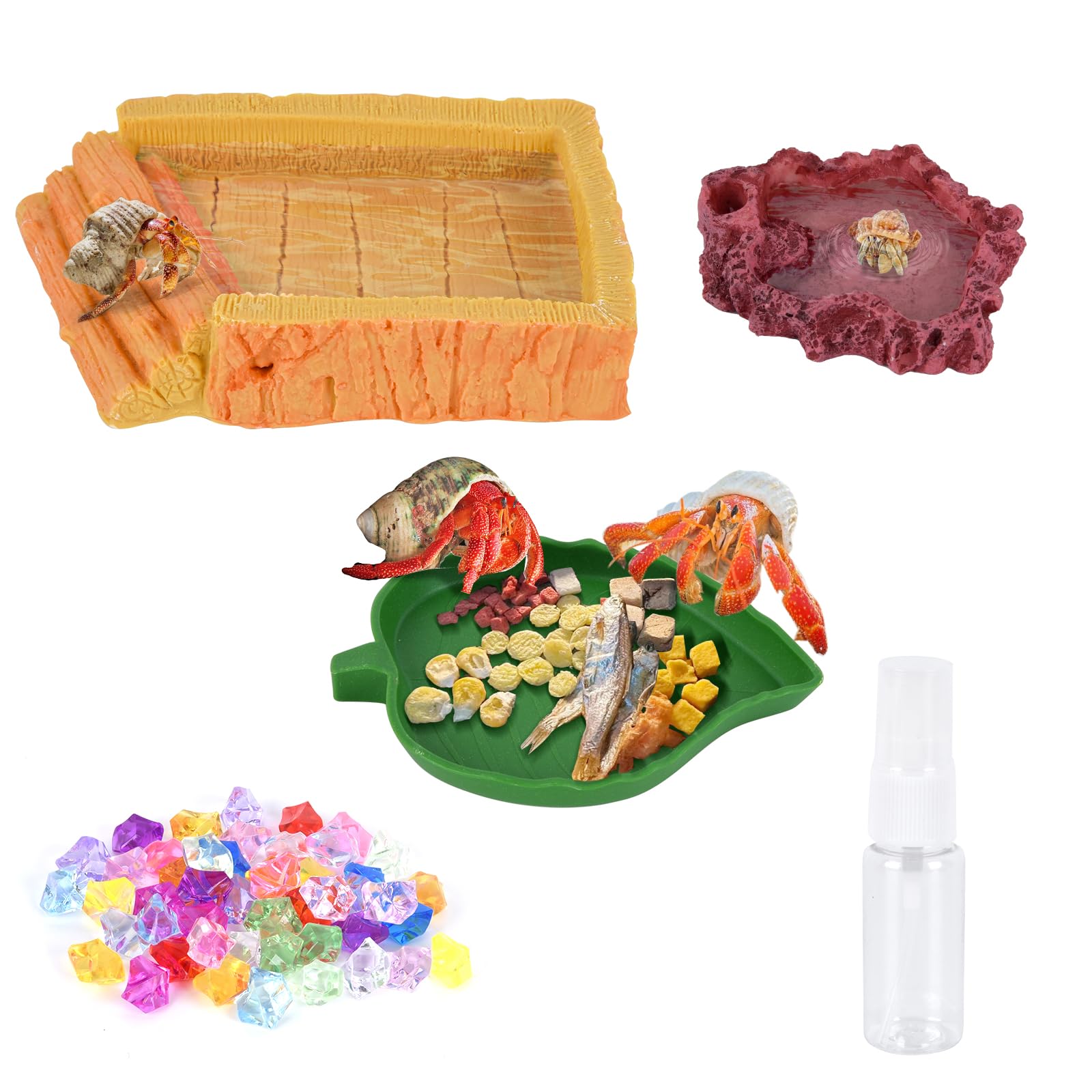 5 Pack Hermit Crab Water Pool Food Bowls Dish Reptile Terrarium Feeding Bowls Re
