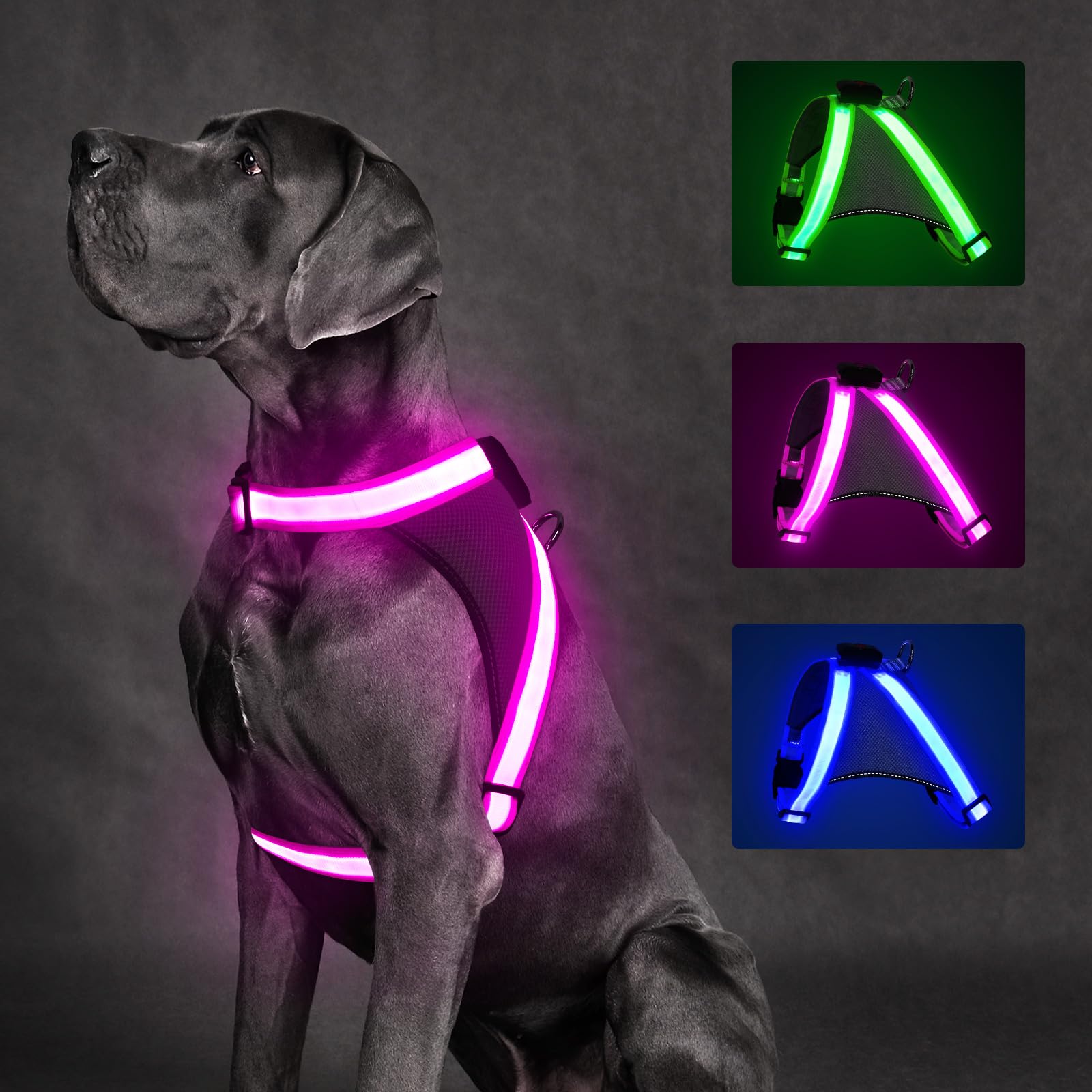 ChalkLit Light Up Dog Harness (Pink, M)
