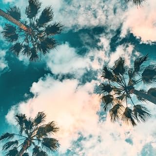 Summer Wallpaper