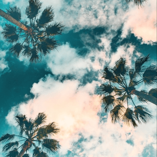 Summer Wallpaper
