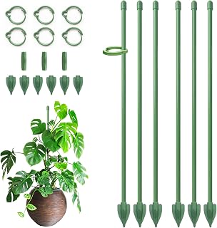 RIFNY Plant Stakes for Indoor Plants, 12 Inch Plant Support Stakes, 6 PCS | Tall Adjustable Garden Plant Sticks, with Clips for Indoor Monstera Tomato Orchid Potted Plants Flower, Green