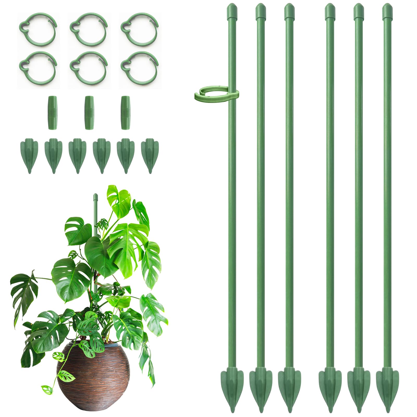 RIFNY Plant Stakes for Indoor Plants, 12 Inch Plant Support Stakes, 6 PCS | Tall