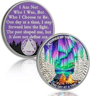 YRCKUDZKG Guided by Northern Lights 5 Year Sobriety Coin | One Day at a Time AA Coin with Token Capsule, 5 Year Sobriety Gift for Men and Women