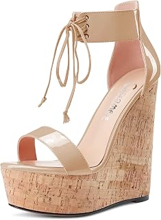 CASTAMERE Women's High Wedge Platform Heel Open Toe Ankle Straps Lace Sandals Clear Dress 15 cm Heels