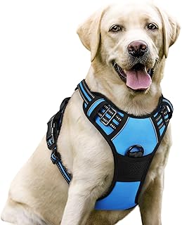 rabbitgoo Dog Harness, No Pull for Large Dogs with 2 Leash Clips, Pet Vest
