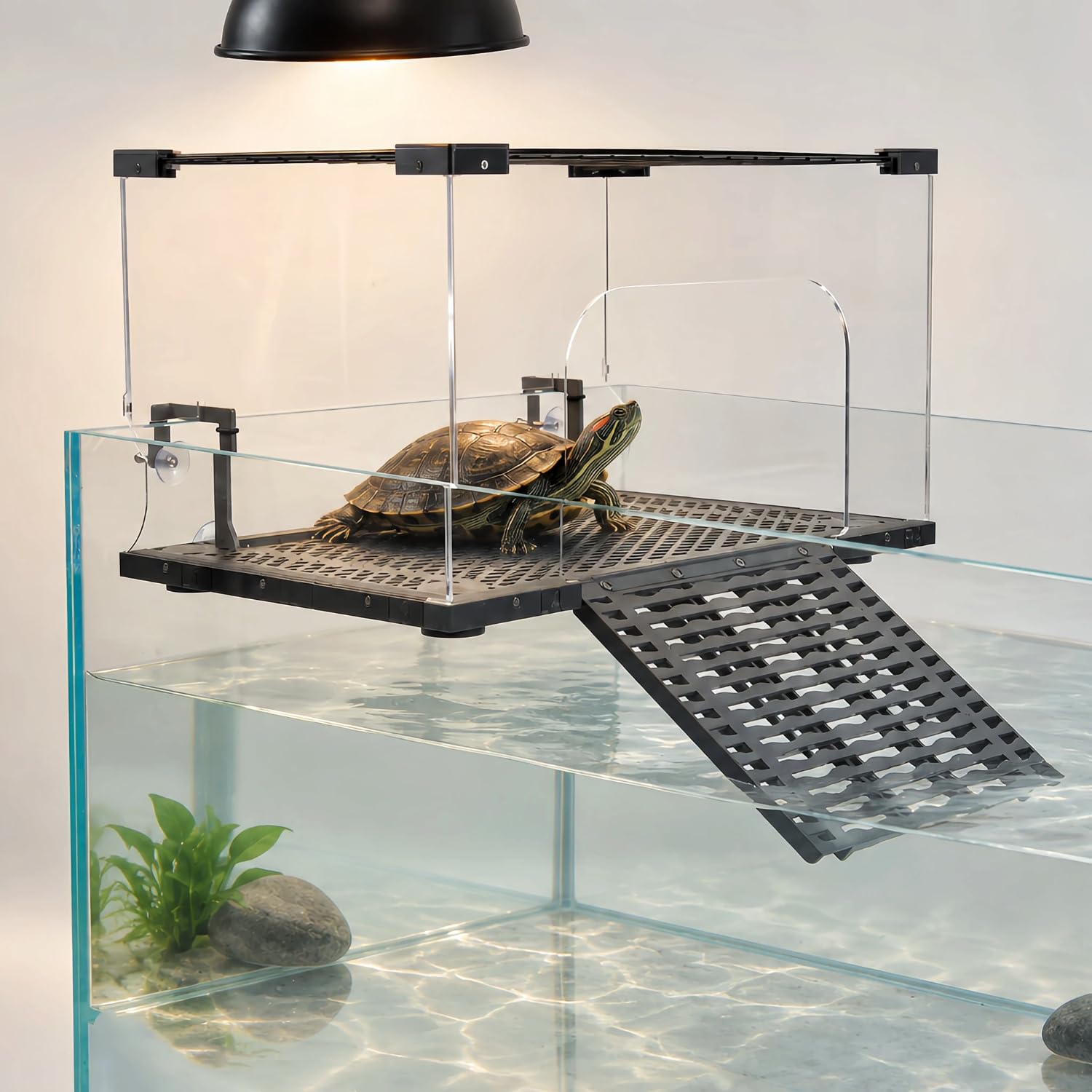 Escape-Proof Turtle Basking Platform Enclosure for 60-Gallon+ Tanks | Sturdy Bas