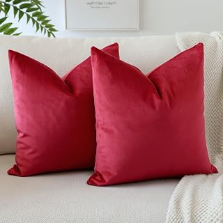 OTOSTAR Pack of 2 Velvet Cushion Covers Soft Square Home Decor Pillow Covers for Couch Sofa Bedroom Living Room Decorative Pillow Covers 20x20 Inch (Red)