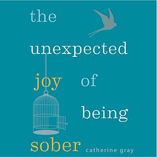 The Unexpected Joy of Being Sober: Discovering a Happy, Healthy, Wealthy Alcohol-Free Life