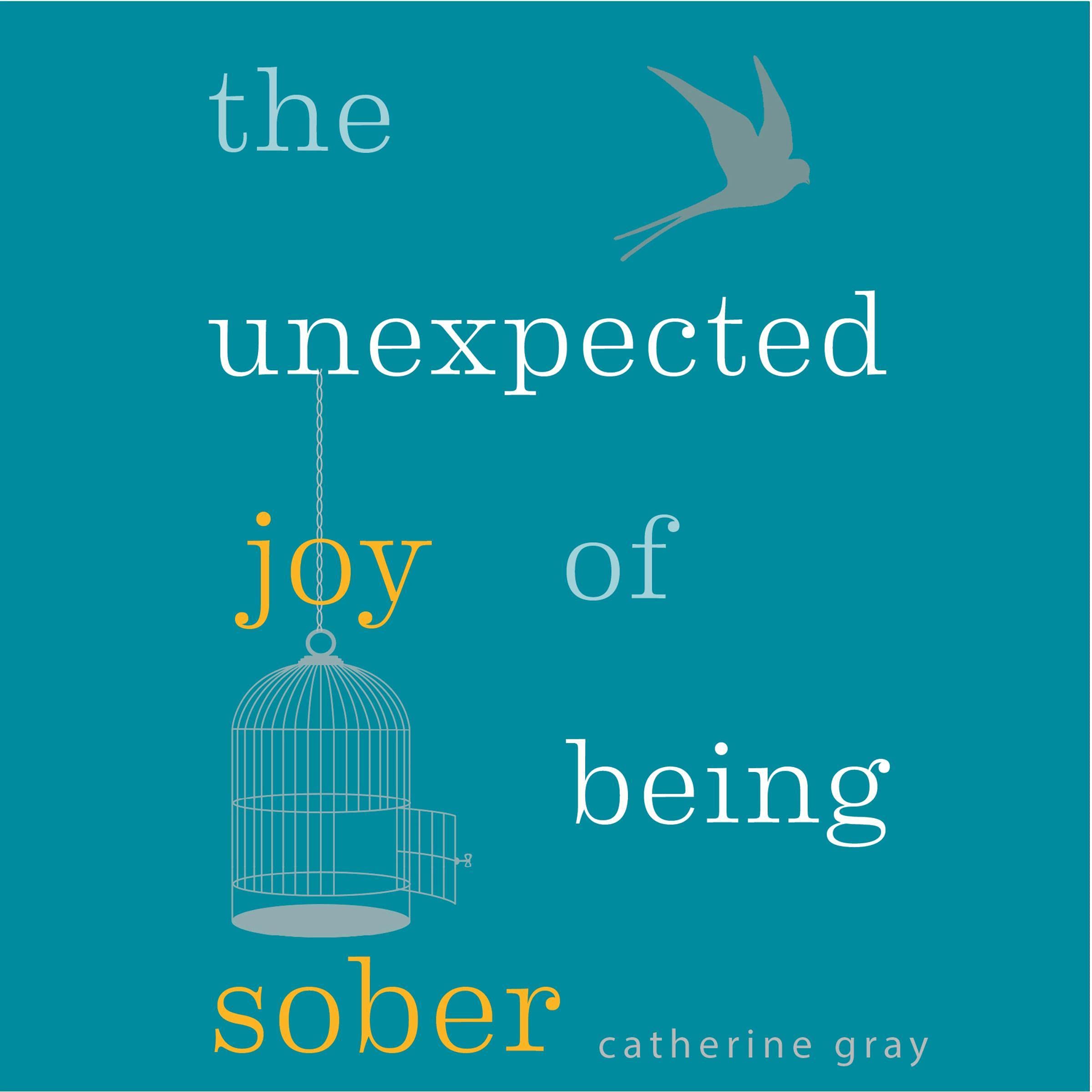 The Unexpected Joy of Being Sober: Discovering a Happy, Healthy, Wealthy Alcohol