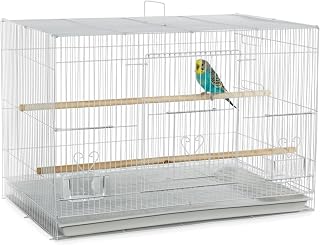 A&E Cage Co 503 Flight Bird Cage for Finches & Parakeets, 24"x16"x16" White | 2 Feeder Stations, Wood Perch, Slide-Out Cleaning Tray, Carry Handle, Safe Bar Spacing for Small Birds