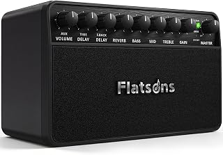 Flatsons FBA-20 20W Portable Rechargeable Electric Guitar Amp | Desk Practice Combo Amplifier, Clean & Drive Channels, Delay Reverb/ EQ, OTG Recording for Beginners, Home/Backyard Use
