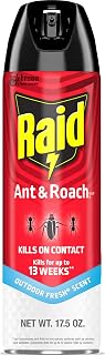 Raid Ant & Roach Killer Spray for Listed Bugs, Keeps Killing for Weeks, Fresh Scent, 17.5 oz