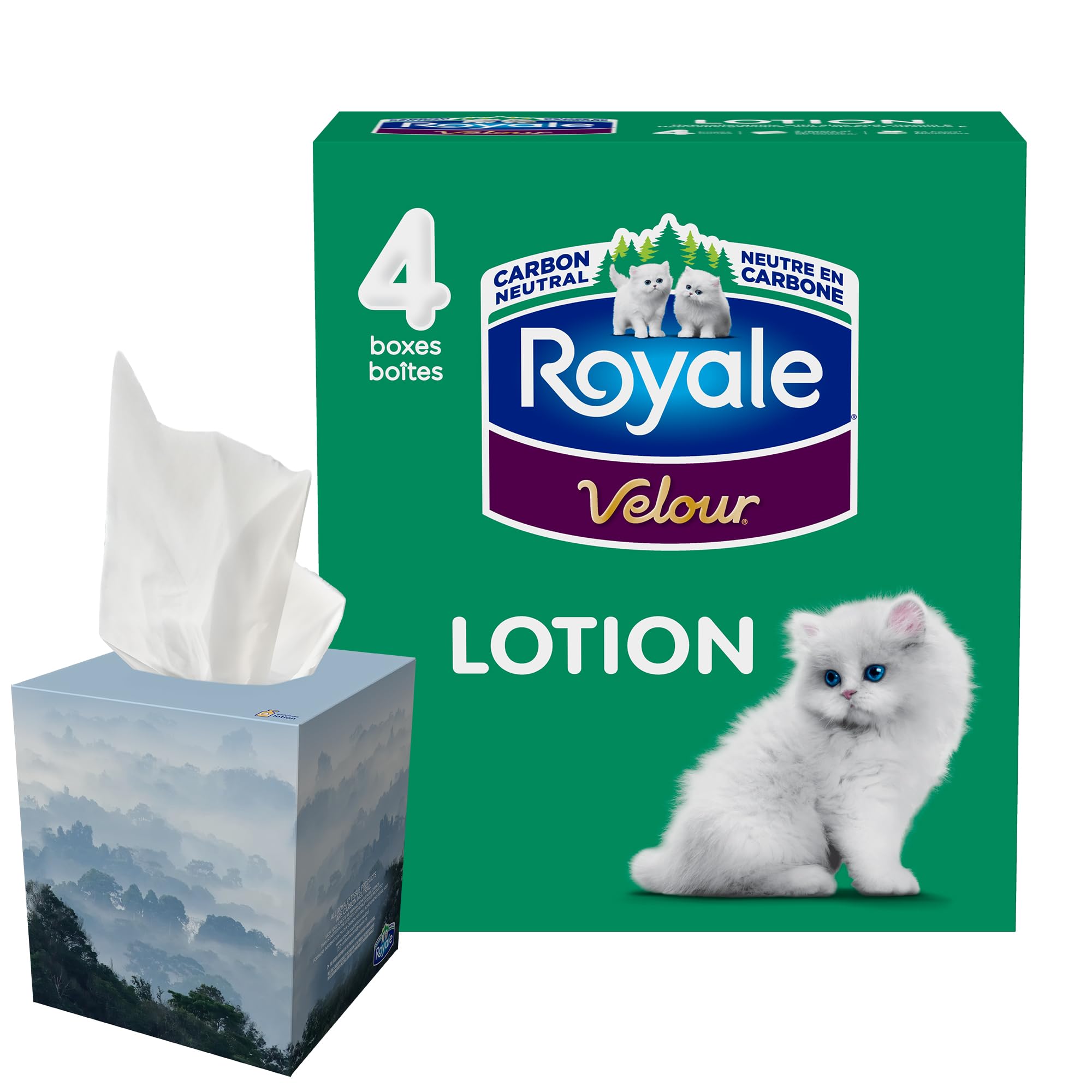 Royale Velour Lotion Facial Tissue, 4 Boxes, 54 Tissues Per Box