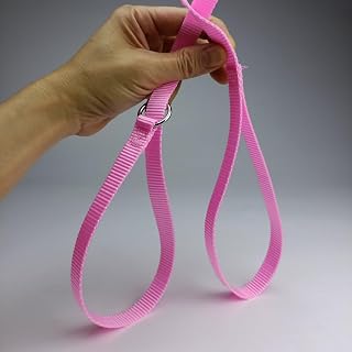 6FT Sliding Dog Leash - Veterinarian, Grooming, Daycare and Pet Rescue (3/4" x 6', Blue)