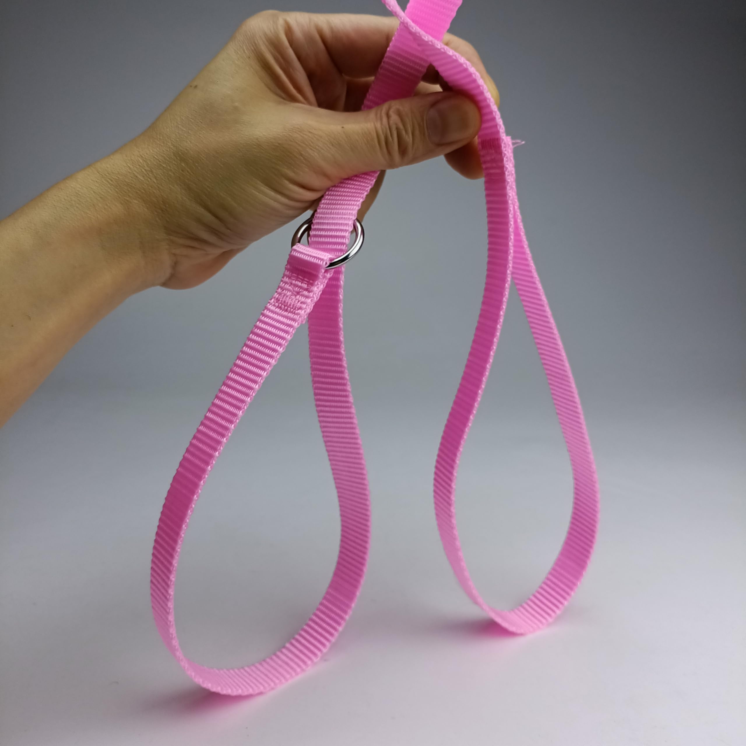 6FT Sliding Dog Leash - Veterinarian, Grooming, Daycare and Pet Rescue (3/4" x 6