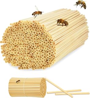 BOBOZHONG Bee Tubes, 20cm Long Natural Reed Tubes for Bee Hotels, 300 PCS Solitary Bee Nesting Tubes Replacement Refill for Insect Hotels & Bug Houses, Cardboard Beekeeper Supplies for Bees