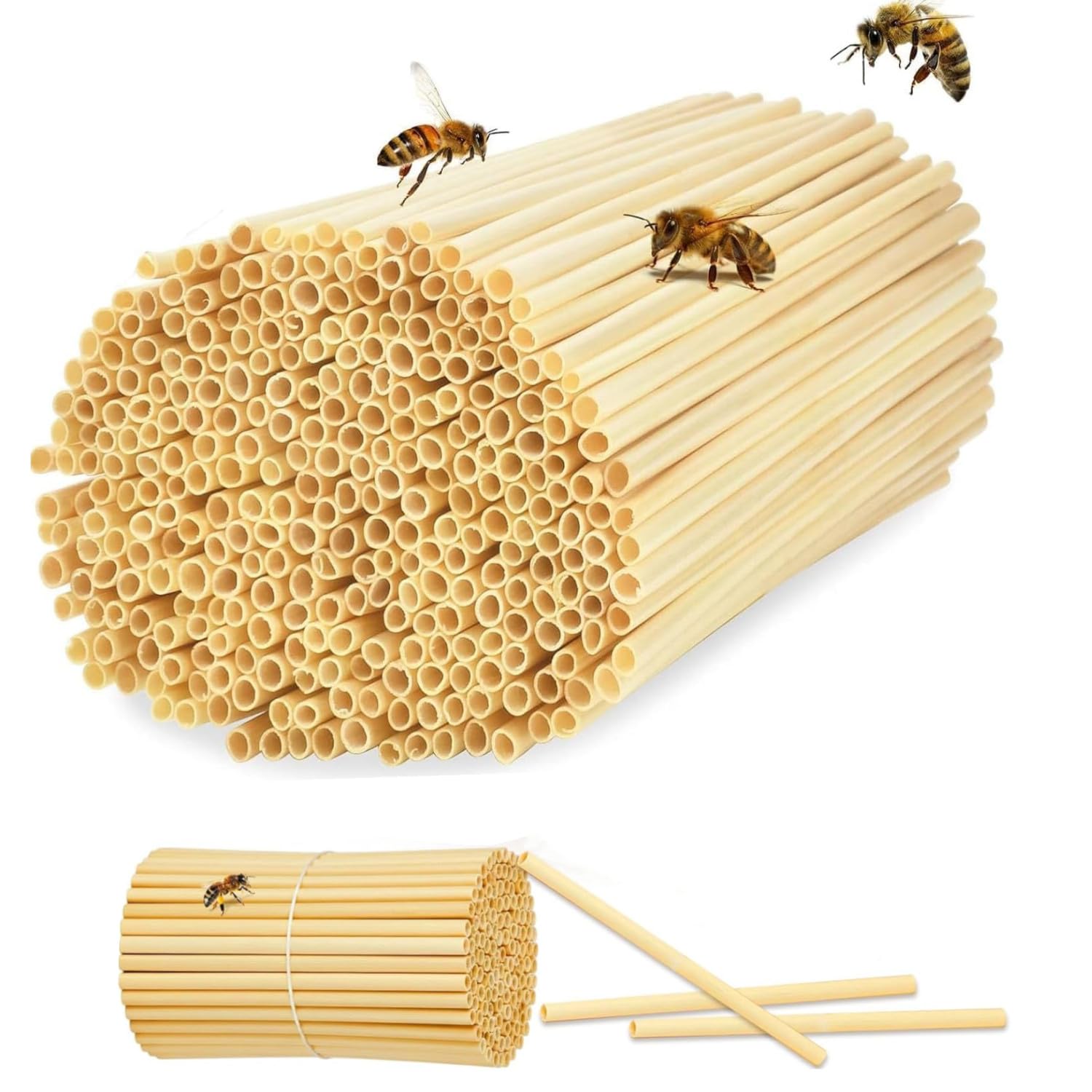 BOBOZHONG Bee Tubes, 20cm Long Natural Reed Tubes for Bee Hotels, 300 PCS Solita