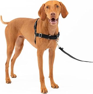 PetSafe Easy Walk Harness, No Pull Dog Harness, Black, Medium | Patented Martingale Loop Gives Gradual Shoulder Pressure to Stop Pulling, Front-Chest Leash Clip Prevents Gagging