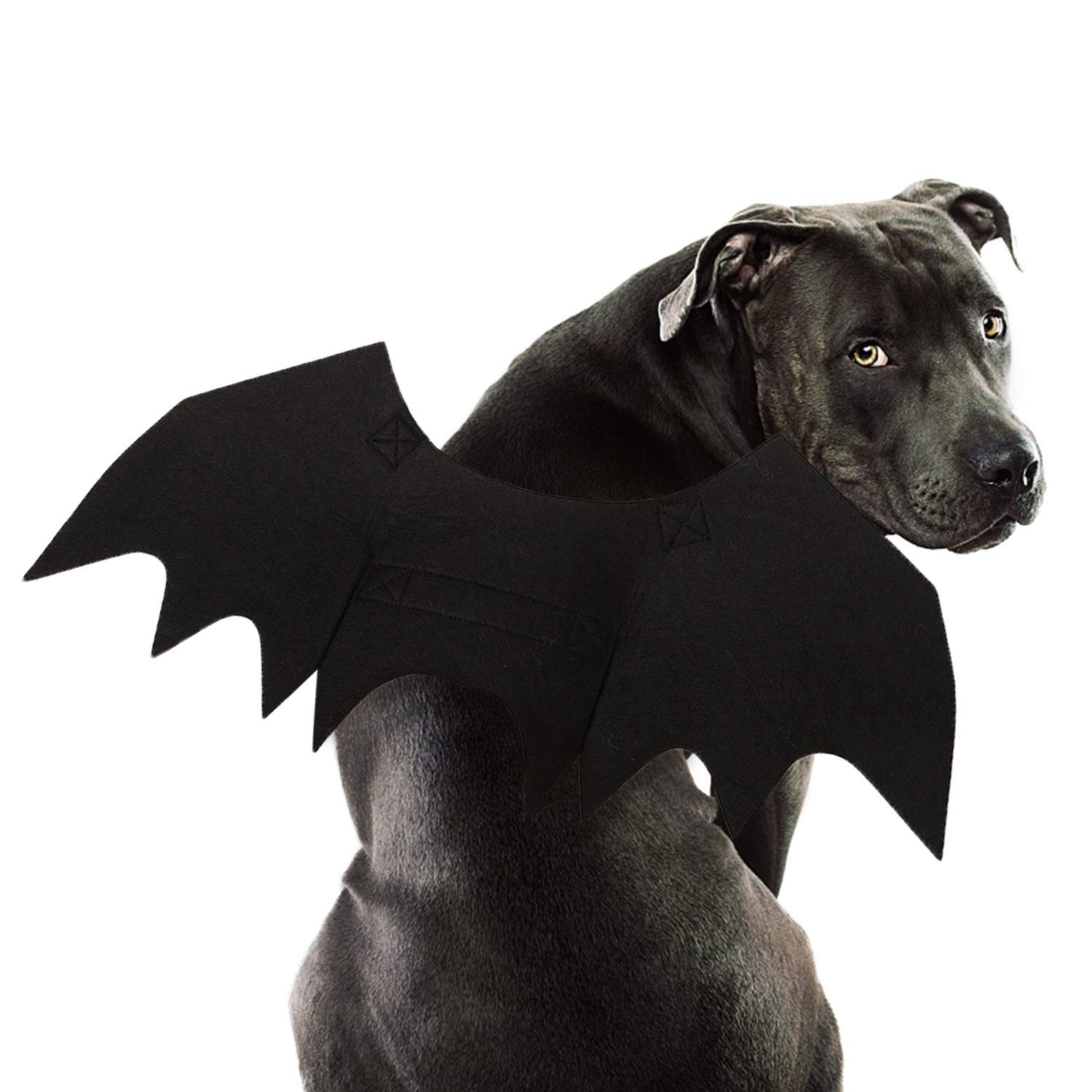 Rypet Dog Bat Wings Costume L, Dog Bat Costume for Halloween Cosplay Party | 5mm