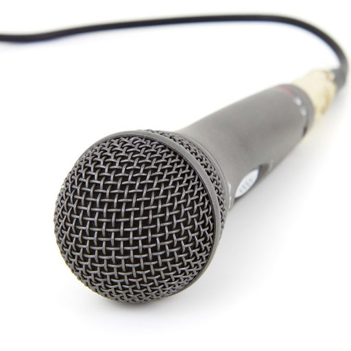 Autotune Voice Simulator