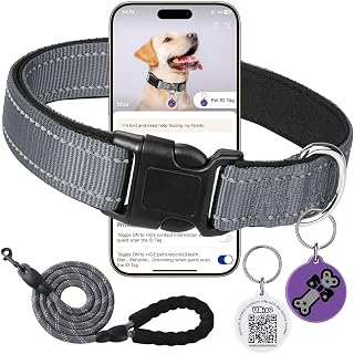 Reflective Dog Collar with Adjustable Buckle Dog Safety Nylon Orange, Medium, 5' Leash and C28 Smart QR Code Anti-lost Pet ID Tag