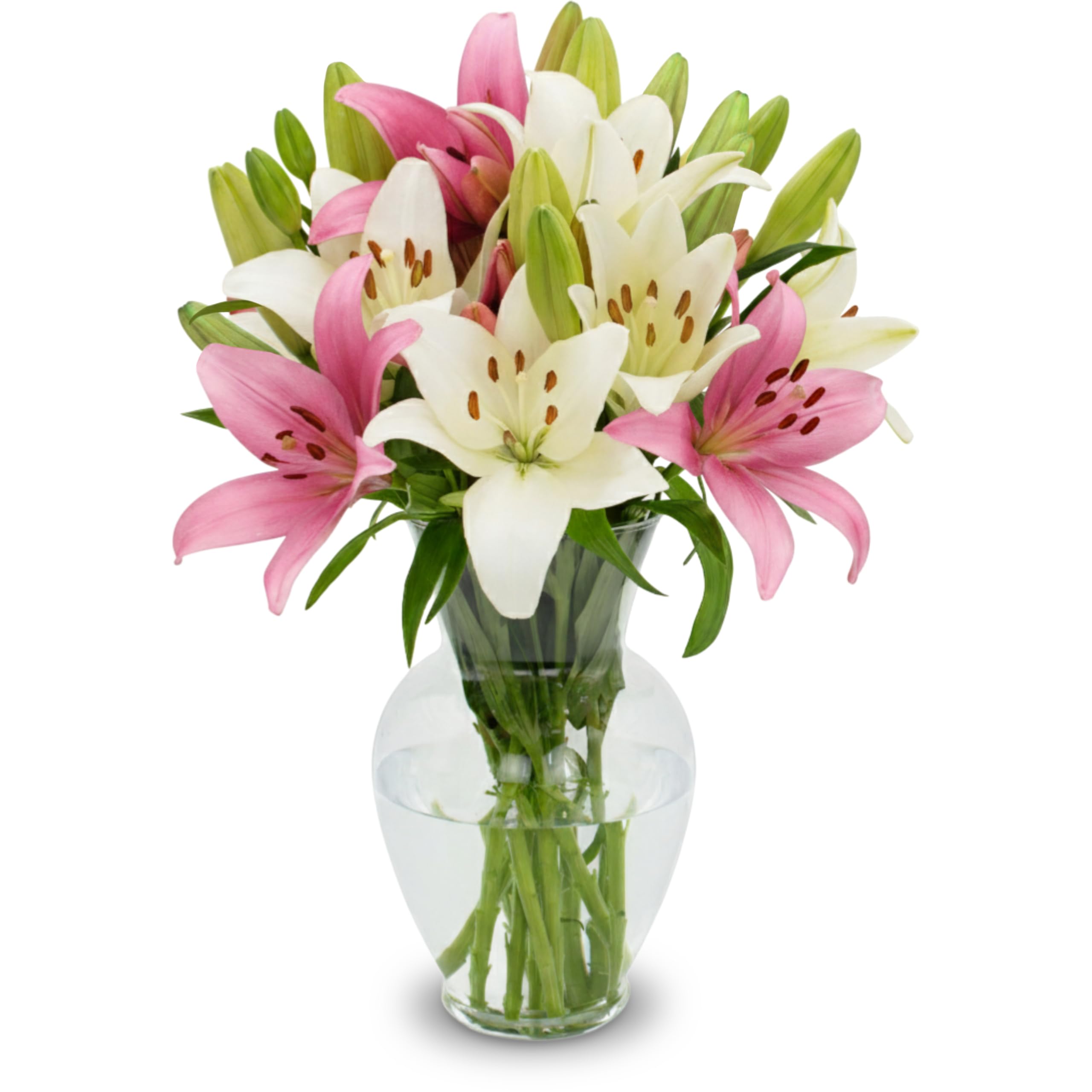 Stargazer Barn 10 Stem Pink & White Lily Bouquet - Without Vase | Fresh Cut Flow