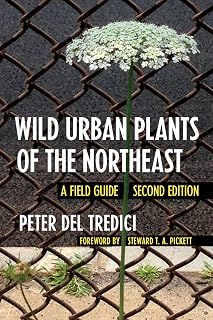 Wild Urban Plants of the Northeast: A Field Guide