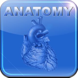 Human Anatomy - Internal Organs and Vessels