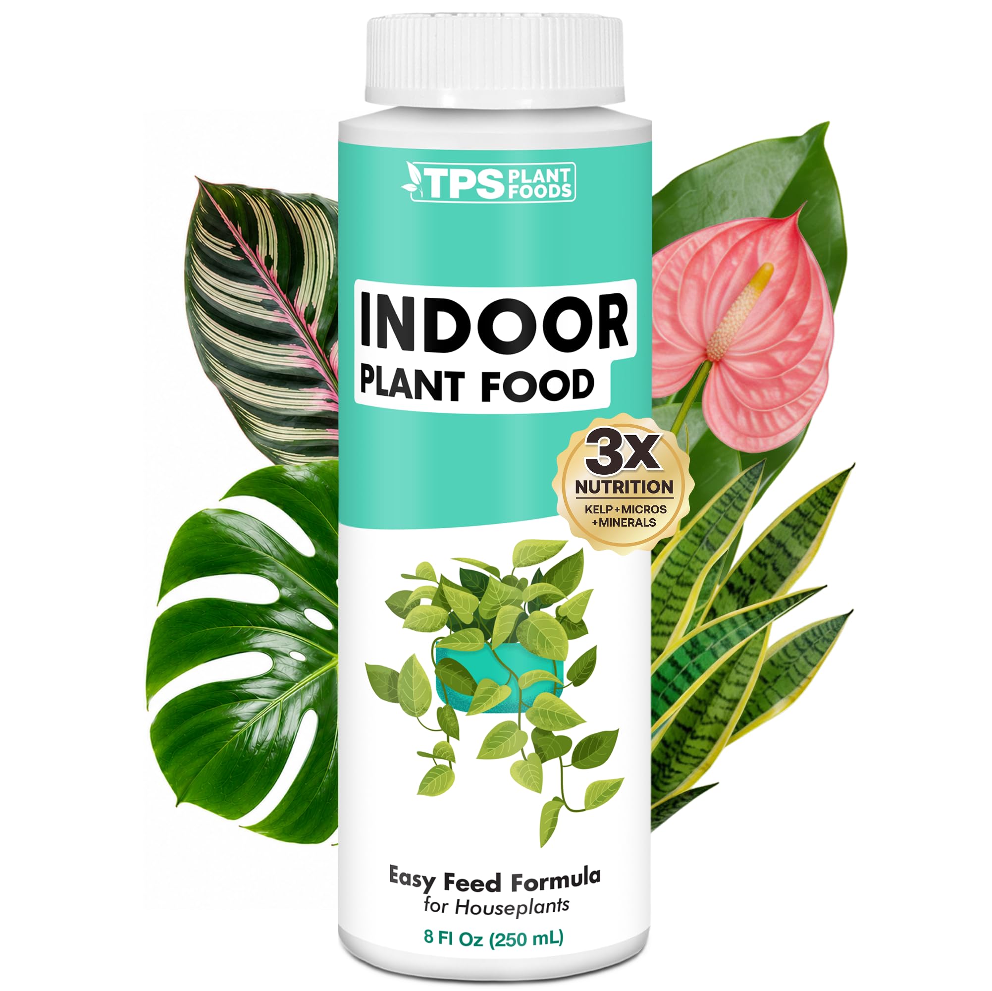 Indoor Plant Food, Complete Liquid Fertilizer for Houseplants, 8oz | Encourages 