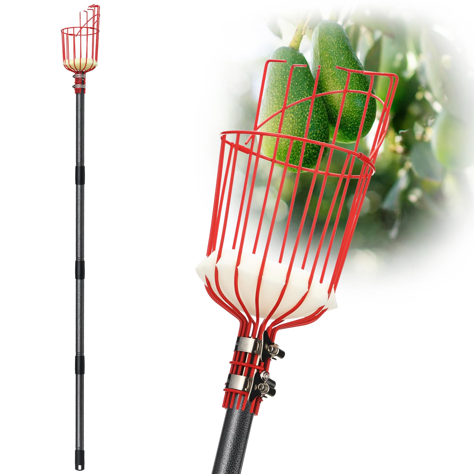 DonSail Fruit Picker Pole Tool with Basket Telescoping - Adjustable Mango Picker