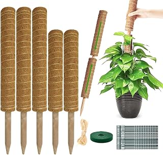 Moss Pole Monstera Plant Support, 5 Pack Plant Stakes | Plants Climber Support Monstera Stake for Climbing Plants, Vine, Pothos, Philodendron to Grow Upwards