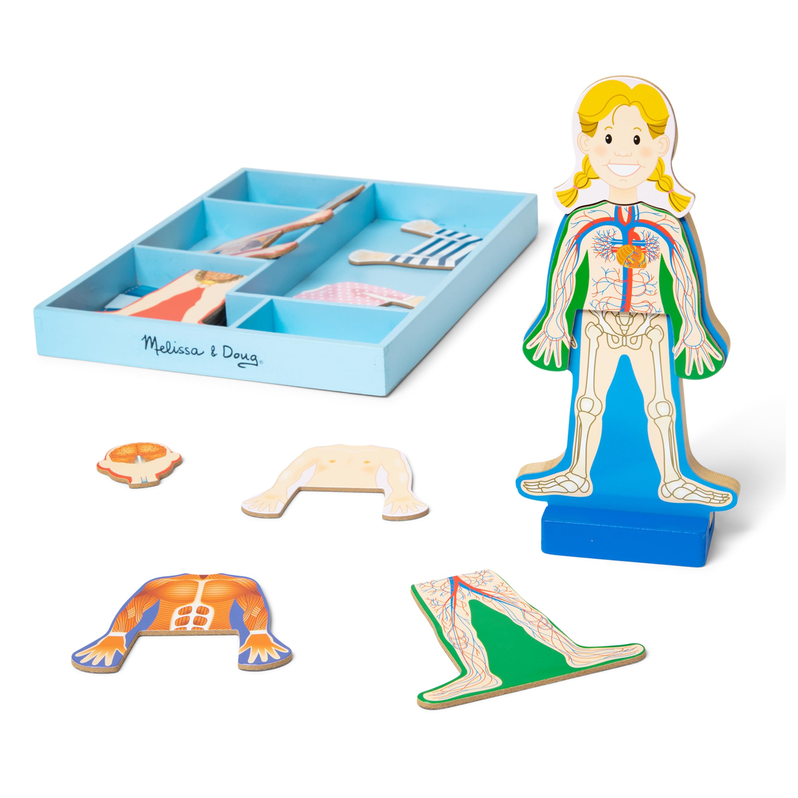 Melissa & Doug Magnetic Human Body Anatomy Play Set with 24 Magnetic Pieces and 