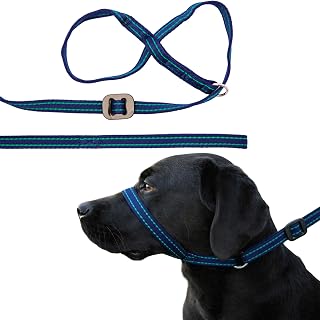 Gencon - All-in-One Anti Pull Dog Lead and Headcollar - Trainer Approved - Figure of 8 Dog Lead with Soft Loop Handle, Gentle Control - Left Hand - Washable - UK Made - Navy/Jade