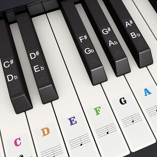 Piano Keyboard Stickers for 37/49/54/61/88 White and Black Keys, Branger Colorful Music Electronic Piano Keyboard Note Stickers for Kids Beginners, Transparent & Removable