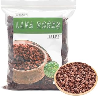 CARURBODY Red Lava Rocks for Plants, 12LBS Volcanic Rock Top Dressing for Cacti Succulents Bonsai