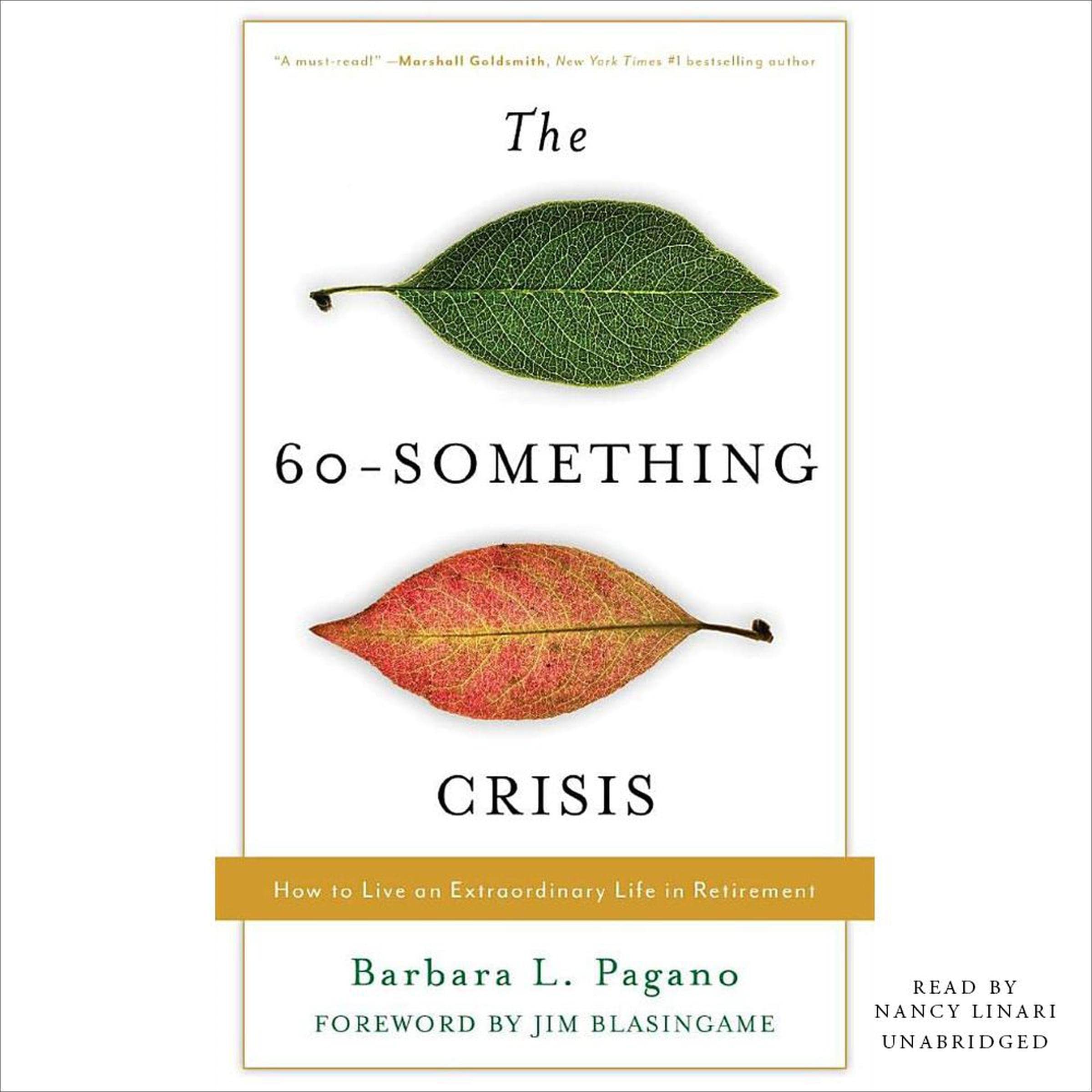 The 60-Something Crisis: How to Live an Extraordinary Life in Retirement