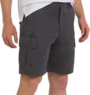 Quiksilver Regular Fit Fixed Waist Water Friendly Active Hybrid Cargo Trousers for Men