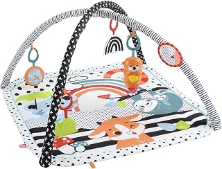 Fisher-Price Tierfreunde HPF39 Contrast Play Mat, Play Arch with Music and