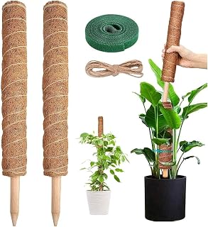 YAUNGEL Moss Pole, (16" X 2Pcs) Plant Support for Monstera, Coco Coir Poles Moss Stick Plant Pole for Plants Climbing to Grow Upwards, with 20M Twist Ties